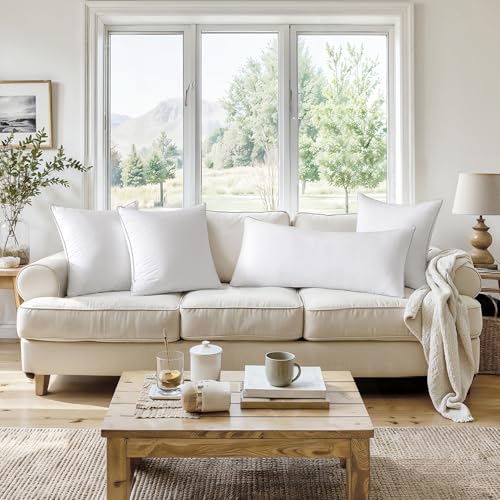 MIULEE 20 x 20 Pillow Inserts (Set of 2) -Throw Pillows for Couch Sofa with 100% Cotton Covers
