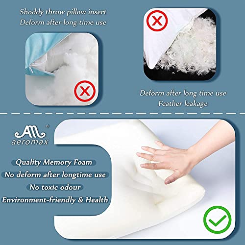 AM AEROMAX 12 × 20 Pillow Insert (Pack of 2) Memory Foam Lumbar Support Throw Pillow Sham Rectangular for Decorative Cushion Bed Couch Sofa Without Deform After Longtime Use(Black)