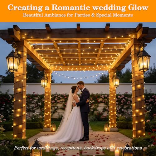 66FT 200 LED Christmas Light, Twinkle Xmas Lights with 8 Modes and Timer, Outdoor Waterproof Christmas Tree Lights for Room Bedroom Wedding Party Holiday Decorations, Warm White
