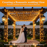 66FT 200 LED Christmas Light, Twinkle Xmas Lights with 8 Modes and Timer, Outdoor Waterproof Christmas Tree Lights for Room Bedroom Wedding Party Holiday Decorations, Warm White