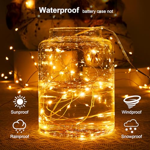 Ariceleo 1 Pack 16.4ft Battery Operated String Lights with Timer, Warm White with Synchronized Twinkle Mode, Fairy Lights Battery Powered, 50 LEDs, Idea for Christmas Bedroom Party Wedding