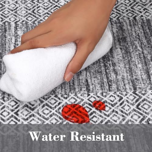GarveeHome Modern Doormat 2x3 Distressed Bordered Washable Small Carpet