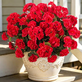 Ammyoo Artificial Geranium Flowers for Outdoors Decoration, 6 Pcs Fake Silk Geraniums Flower UV Resistant Look Real Faux Plants for Spring Garden Porch Planter Yard Table Centerpieces Decor