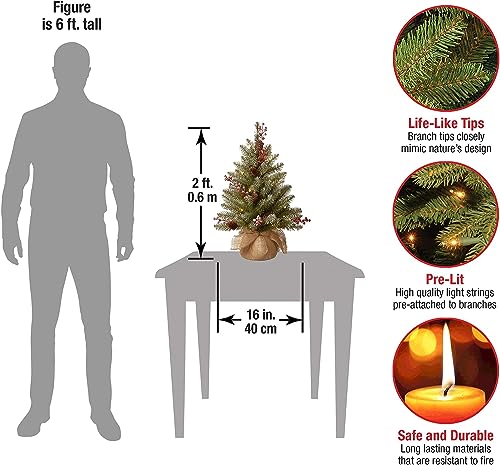 National Tree Company 2 ft Pre-Lit Flocked Dunhill Fir Mini Artificial Christmas Tree, 15 Clear LED Lights, 75 Tips, Pinecones, Red Berries, Timer, Burlap Base, Green