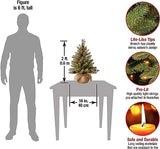 National Tree Company 2 ft Pre-Lit Flocked Dunhill Fir Mini Artificial Christmas Tree, 15 Clear LED Lights, 75 Tips, Pinecones, Red Berries, Timer, Burlap Base, Green