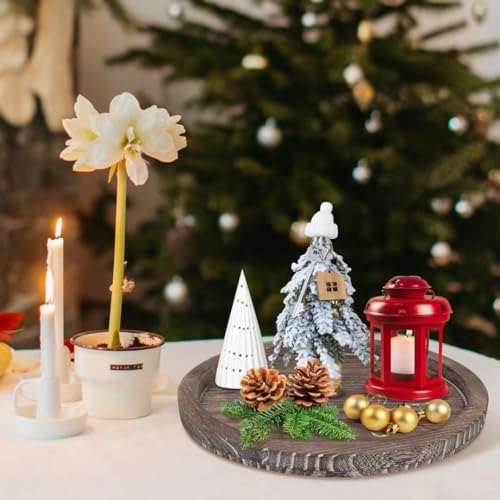 Round Decorative Wooden Serving Trays for Ottoman Coffee Table Tray Decor
