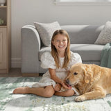 DCX Abstract Area Rug 5x7, Washable Sage Green Modern Rug for Living Room, Kid & Pet Friendly with Rubber Back Non Slip, Soft Low Pile Carpet, Stain Resistant Rug for Bedroom, Office, Dining Room