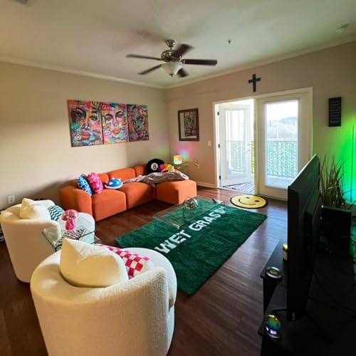 Wet Grass Rug - Green Grass Classic Handmade Flocked Area Rug - Hypebeast Home Decor Carpet - 20 * 32in (50 * 80cm) Indoor Entryway/Bathroom Mat/Sneaker Display Mat - Artistic Premium Floor Mat