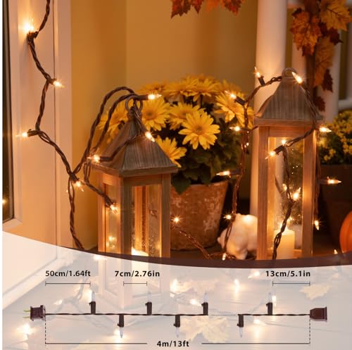 13FT 50-Count Clear Christmas String Lights Brown Wire, UL Certified Incandescent Bulb Mini Lights Plug in for Tree, Home, Patio, Indoor, Outdoor, Xmas, Garland Decor