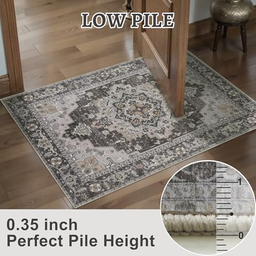 Tangsoo Vintage 4x6 Washable Area Rug for Living Room, Non Slip Rug Grey