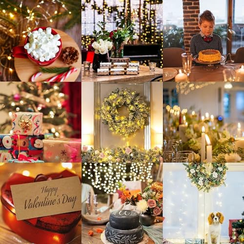 Niumowa LED Fairy Lights Battery -9 Pack 2M/20 LEDs Mini Fairy Lights with Battery,LED Lighting Battery Operated Decoration for Bottle,Christmas Tree Wedding Balcony Party Decoration