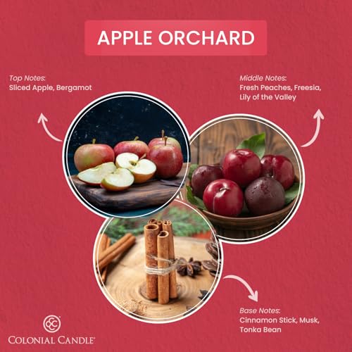 Colonial Candle Apple Orchard Scented Candle Jar, Highly Fragranced Candles for Home Scented, Mottled Wax Candle, 2 Wick, 8 oz - Made in the USA