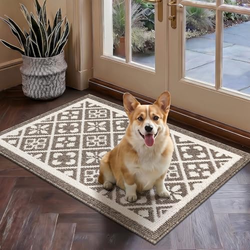 Indoor Door Mat 2x3ft, Absorbent Muddy Mats for Dogs, Low-Profile Entrance Welcome Mat with Non-Slip Rubber Backing, Washable Runner Carpet for Hallway,Entryway,Kitchen(Brown)