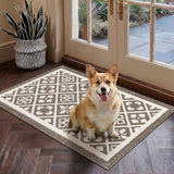Indoor Door Mat 2x3ft, Absorbent Muddy Mats for Dogs, Low-Profile Entrance Welcome Mat with Non-Slip Rubber Backing, Washable Runner Carpet for Hallway,Entryway,Kitchen(Brown)