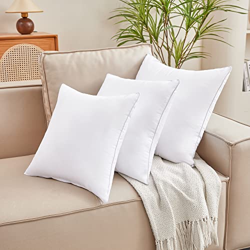 Qeils 22 x 22 Pillow Inserts Set of 2 White Throw Pillow Inserts with Soft Polyester Cover - Rectangle Square Interior Sofa Pillow Inserts Decorative Pillow Insert White Couch Pillow