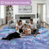 Area Rug Living Room Bedroom: 4x6 Fluffy Plush Shag Carpet Rainbow