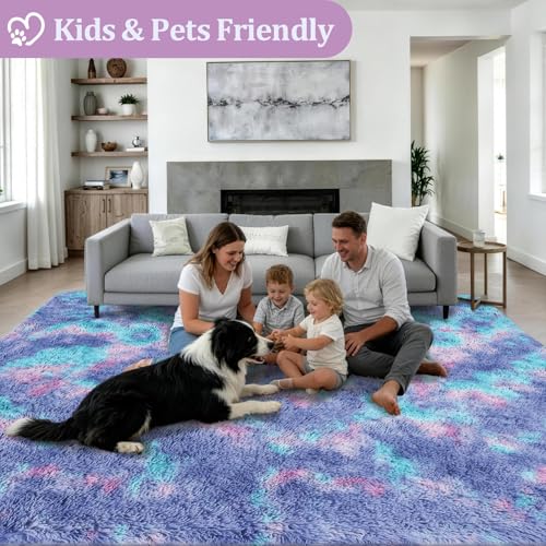 Area Rug Living Room Bedroom: 5x7 Fluffy Plush Shag Carpet Rainbow