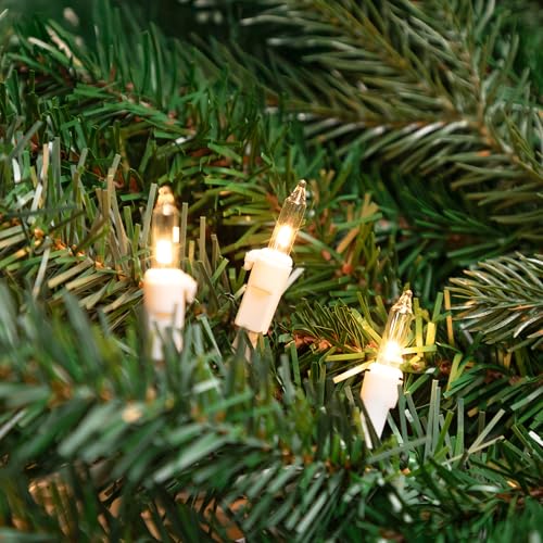 Northlight Mini Incandescent Christmas Lights - Clear - 4' White Wire - 10ct