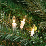 Northlight Mini Incandescent Christmas Lights - Clear - 4' White Wire - 10ct