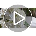CHASMILE Real Touch Artificial Flowers Hydrangea in Vase for Home Decoration,Artificial Hydrangeas Centerpieces for Tables, Lifelike Fake Hydrangea in Vase for Bathroom, Office and Water Bar