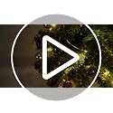 Mini Tabletop Christmas Tree with 30 LED String Lights, Star Top, Perfect for DIY Decoration 2ft