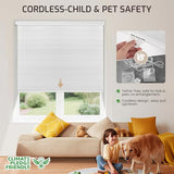 Grandekor No Tools No Drill Cordless Cellular Shades,34" W x 64" H,Blackout Honeycomb Blinds for Indoor Windows,UV Protection Privacy No Drill Blinds for Home,Door,White