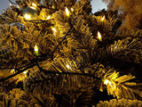 ASENEK Christmas Light, 33ft 100 LED Battery Operated String Lights with Auto Timer & 8 Modes, Green Wire Outdoor Waterproof String Lights for Outdoor and Indoor Christmas Decor – Warm White