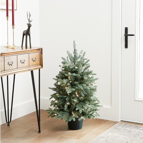 National Tree Company Artificial Christmas Tree For Entrances | Includes White Lights and Pot | Everyday Collections - 3 ft