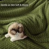 Exclusivo Mezcla Fleece Throw Blanket for Couch and Bed,Extra Soft Warm Decorative Fuzzy Throws for Women,Lightweight Cozy Blankets Size 50x60 Inches, Olive Green