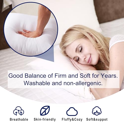 HITO 12x20 Pillow Inserts (Set of 2)- 100% Cotton Covering Down Alternative Throw Pillows White for Couch Bed Sofa