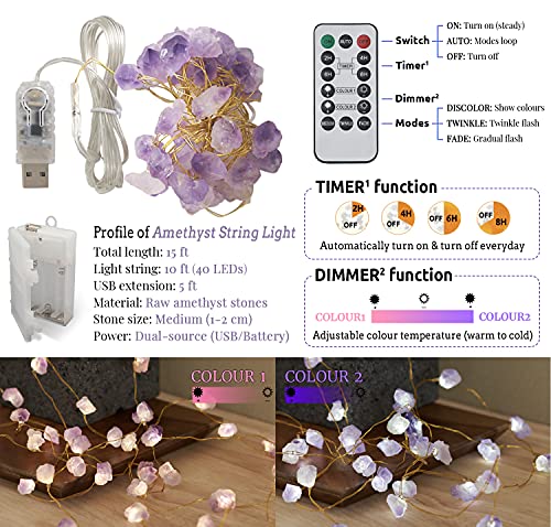 Nature Amethyst Crystal String Lights for Bedroom 10FT 40LEDs USB/Battery Operated Grape Crystal Light Pure Purple Fairy Lights Plug in for Natural Life Cute String Lights for Office