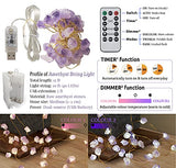 Nature Amethyst Crystal String Lights for Bedroom 10FT 40LEDs USB/Battery Operated Grape Crystal Light Pure Purple Fairy Lights Plug in for Natural Life Cute String Lights for Office
