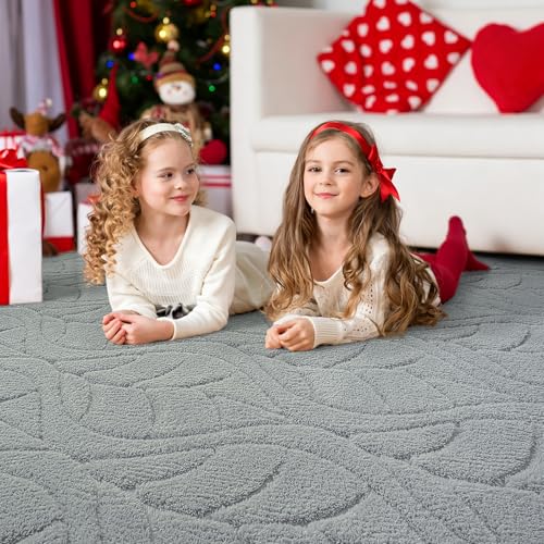 3x5 Grey Fluffy Soft Shag Area Rug for Bedroom