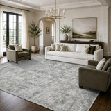 Grey 8x10 Area Rugs for Living Room Bedroom Large Washable Rug