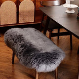 LLB Genuine Sheepskin Area Rug Wool Rug Fur Carpet Fluffy Shaggy Fur Rug for Living Room Kids Bedroom Real Sheepskin Throw Lambskin Rugs Sofa Mat Chair Seat Covers (Carbon Gray, 2 x 3 ft Sheepskin)