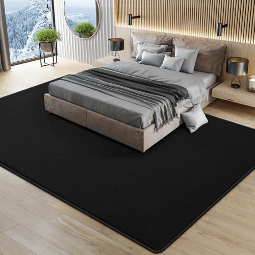 Large Modern Area Rugs for Living Room Bedroom, 4x6 Feet Black