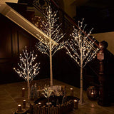Hairui Lighted White Birch Tree 6FT, Twig Tree with Lights Plug in for Christmas Wedding Party Easter Decorations Indoor Outdoor Use