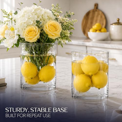 Royal Imports Flower Glass Vase Decorative Centerpiece for Home or Wedding - Cylinder Shape, 8" Tall, 6" Opening, Clear