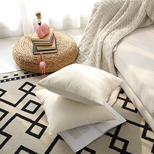 Set of 2 Comfortable Throw Pillow Cover for Bedding, Decorative Accent Cushion Sham Case for Couch Sofa, Soft Solid Velvet with Zipper Hidden - 20"x20", Ivory