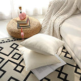 Set of 2 Comfortable Throw Pillow Cover for Bedding, Decorative Accent Cushion Sham Case for Couch Sofa, Soft Solid Velvet with Zipper Hidden - 20"x20", Ivory