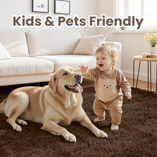 5x8 Fluffy Shag Area Rugs for Living Room Bedroom: Soft Plush Carpet Brown