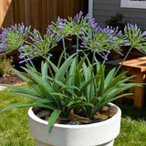 8 Bundles Artificial Flowers Plants for Outdoor Planters | 18.9 in Purple Large Fake Flowers | Spring Summer Look Real Plasic Faux Plant for Front Porch Pathway Garden Patio (Purple)