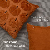 DFXSZ Fall Pillow Covers 16x16 2Pcs Rust Brown Pumpkin Fall Decorations