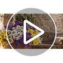 lovemoon 2 Sets Artificial Hanging Pansy Flowers with Baskets, 24 Pcs UV Resistant Faux Silk Pansy Outdoor Hanging Flower for Porch Patio Garden Home Spring Decor (2, White,Yellow,Purple)