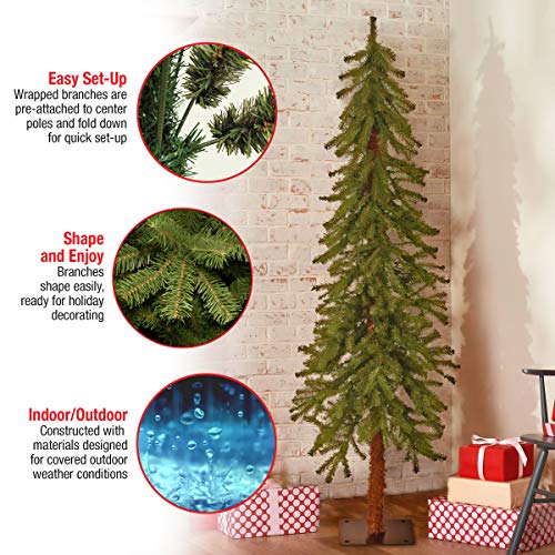 National Tree Company 5 ft Unlit Hickory Cedar Artificial Christmas Tree, 371 Tips, Metal Plate Base, Green