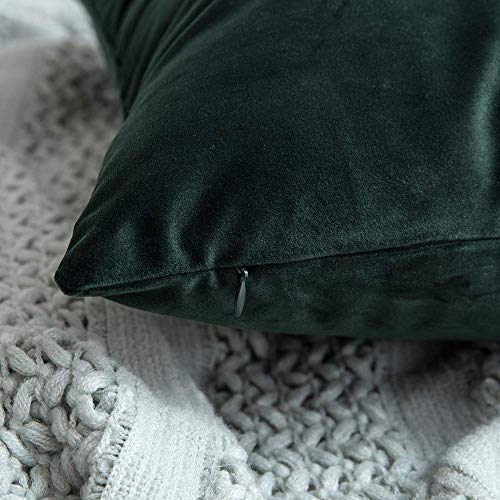 MIULEE Velvet Soft Soild Decorative Square Throw Pillow Cover and Throw Pillow Insert Hypoallergenic Premium Pillow 12 x 20 Inch 30 x 50 cm Army Green