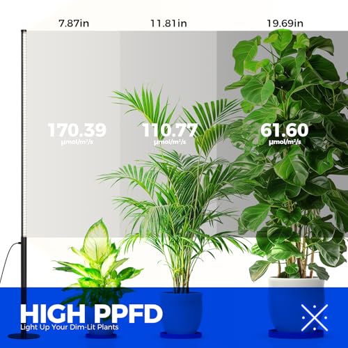 Barrina T10 Pro Standing Grow Light with Timer, 42W, 5000K, Full Spectrum Vertical Tall Grow Lights for Indoor Plants, Wide Coverage, 4FT to 5.6FT Height with Foot Switch, for Flower and Tall Plants