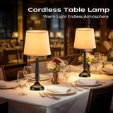 Cordless Table Lamp, 5000mAh Battery Rechargeable Touch Lamp, 3-Level Brightness Bedside Lamps, Modern Black Iron Design, Desk Lamp for Patio Camping, Dining, Home