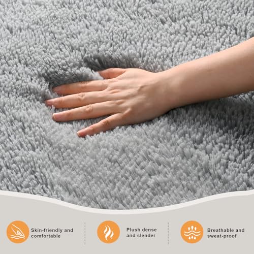 Zentavio Area Rugs for Living Room Grey Rugs for Bedroom 4x6 Carpet Fluffy Furry Soft Shag Aesthetic Plush High Pile Gray Throw Rug for Nursery Kids Room Dorm