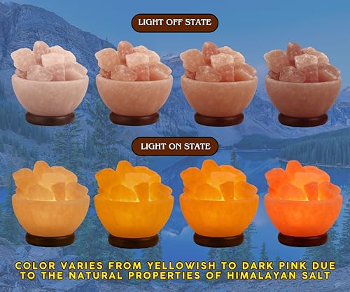 Himalayan Salt Lamp Bowl with Natural Crystal Chunks, Dimmer Cord and Classic Wood Base Premium Quality Authentic from Pakistan